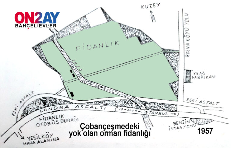 Çobançeşmedeki yok olan orman fidanlığı