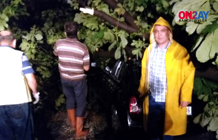 Bahçelievler Belediyesi, Aydın Arslan, makale, yazısı