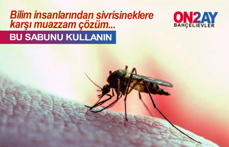Sivrisinekleri uzaklaştırmak için ideal koku