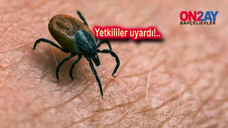 on2aybahcelievler.com, kene, yaz tatili