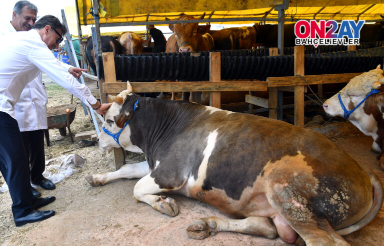 Bahçelievler kurban pazarı, Hakan Bahadır, Sağlık İşleri Müdürü Tibet Bayhan