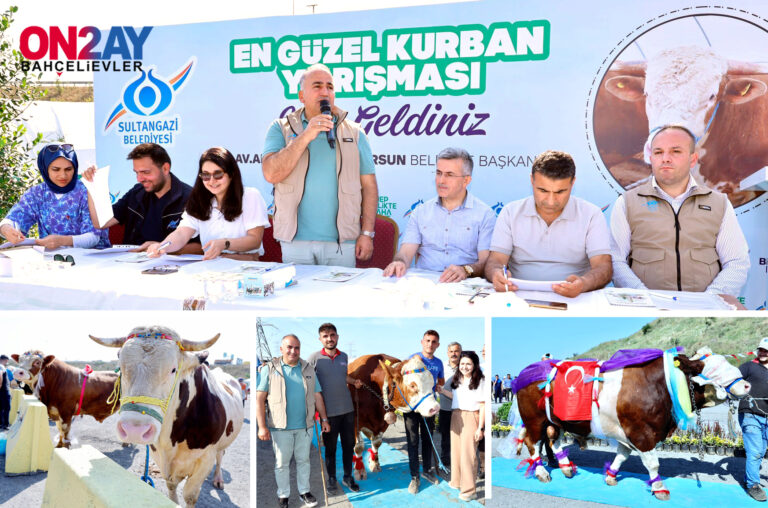 Sultangazi Belediyesi, yardımcısı Yakup Dalkılıç kurbanlık yarışması