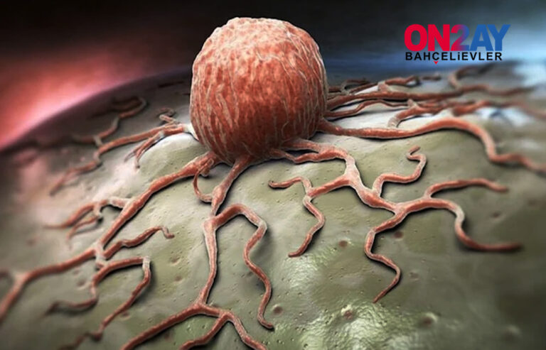 Avustralya Sydney Üniversitesi araştırma