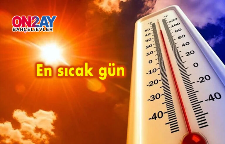 Kim demiş kediler su sevmez..