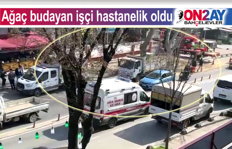 Ağaç budayan işçi hastanelik oldu, çevre kirliği