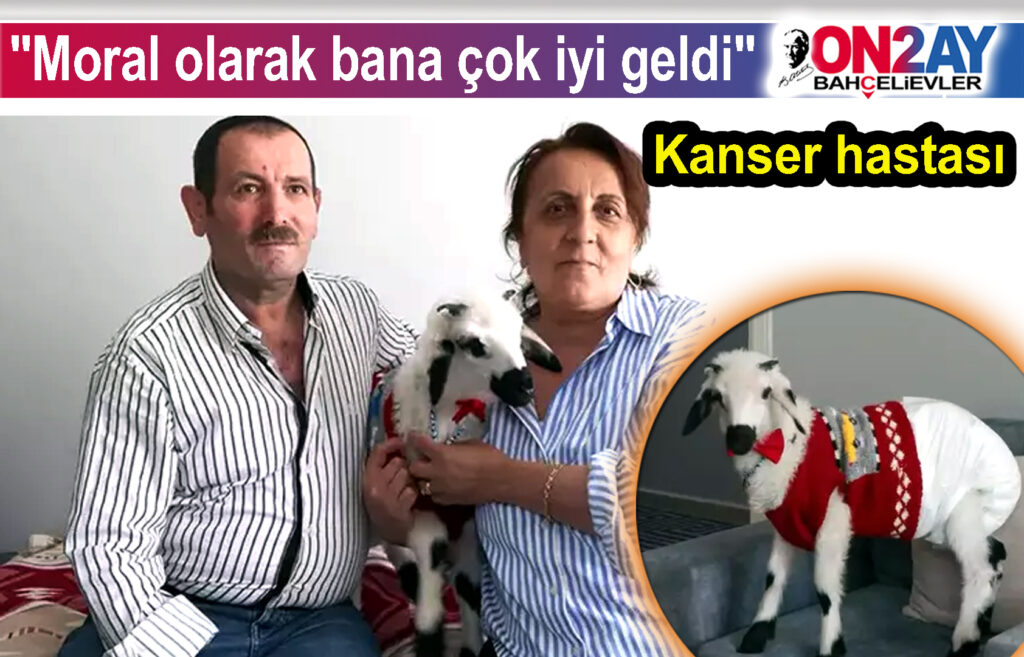 Kanser hastası olunca moral için aldığı kuzuya bebek gibi bakıyor