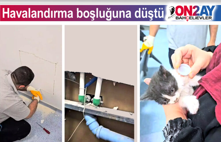 Kedi, Havalandırma boşluğuna düştü
