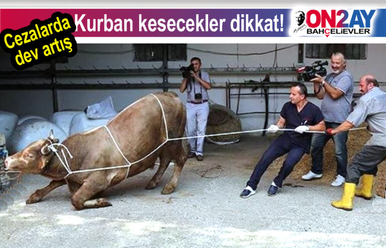 Cezalarda dev artış, Kurban kesecekler dikkat!