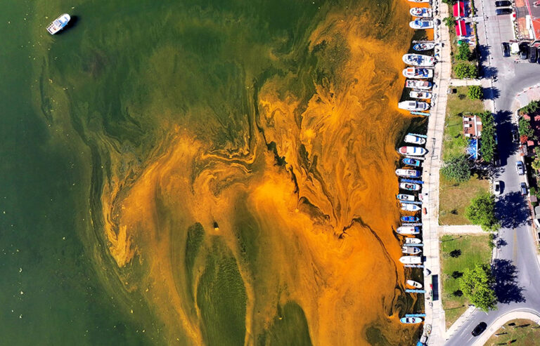 İstanbul'da endişelendiren görüntü