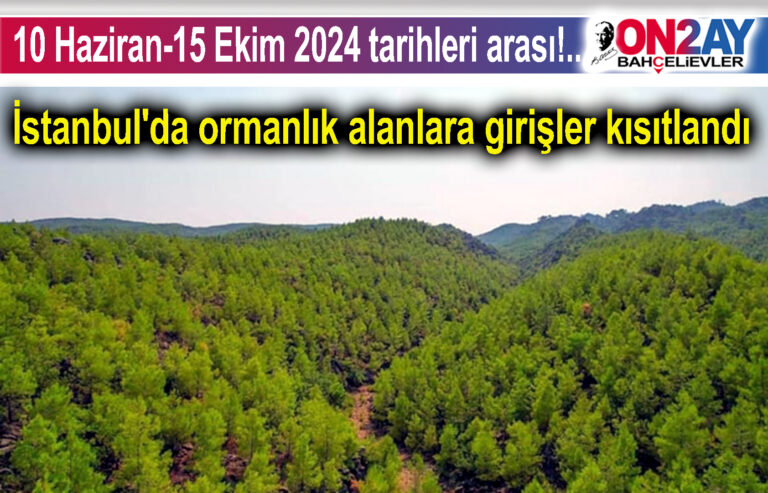İstanbul'da ormanlık alanlara girişler kısıtlandı