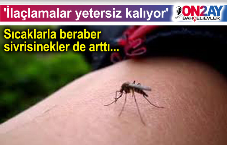 Sıcaklarla beraber sivrisinekler de arttı
