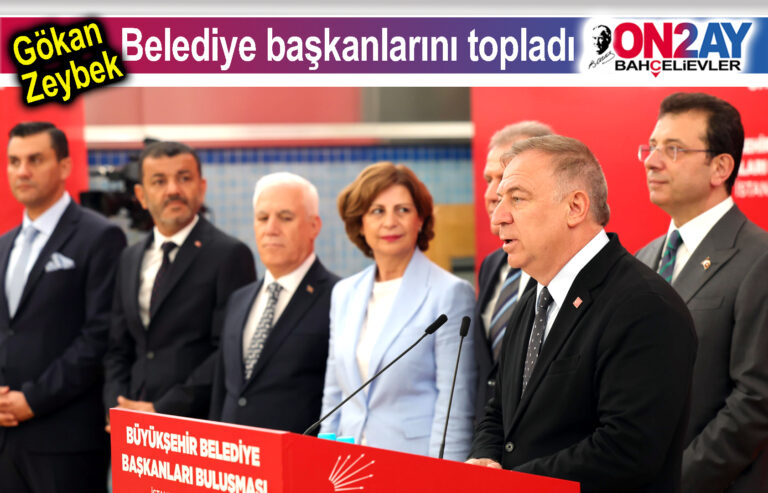 CHP, Genel Başkan Yardımcısı, Gökan Zeybek