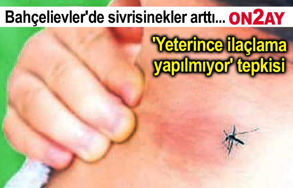 Bahçelievler'de sivrisinekler arttı