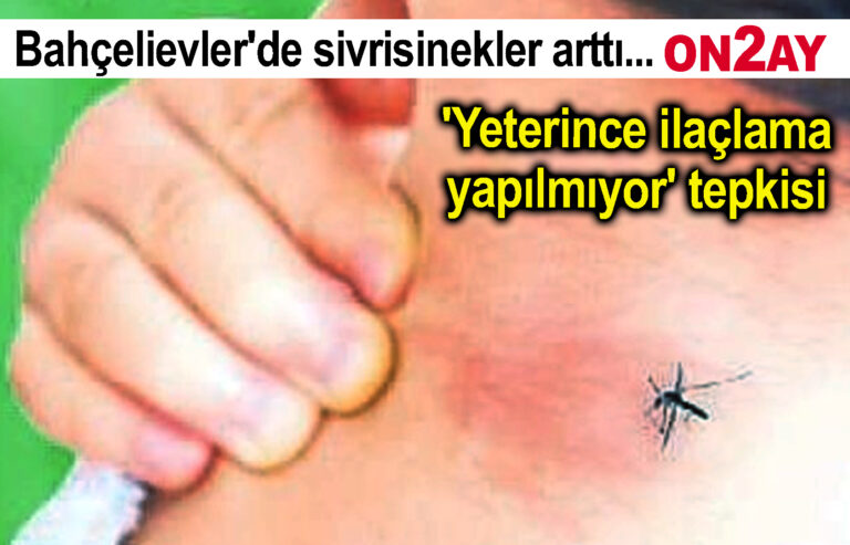 Bahçelievler'de sivrisinekler arttı