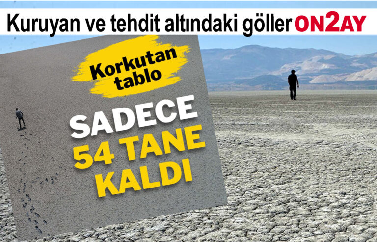 Türkiye'de, Kuruyan ve tehdit altındaki göller