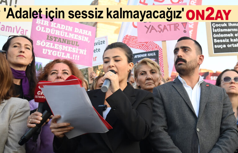 CHP İstanbul Kadın Kolları, basın açıklaması, kadın cinayeti