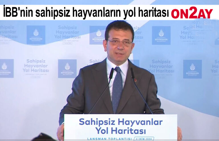 İBB'nin sahipsiz hayvanların yol haritası