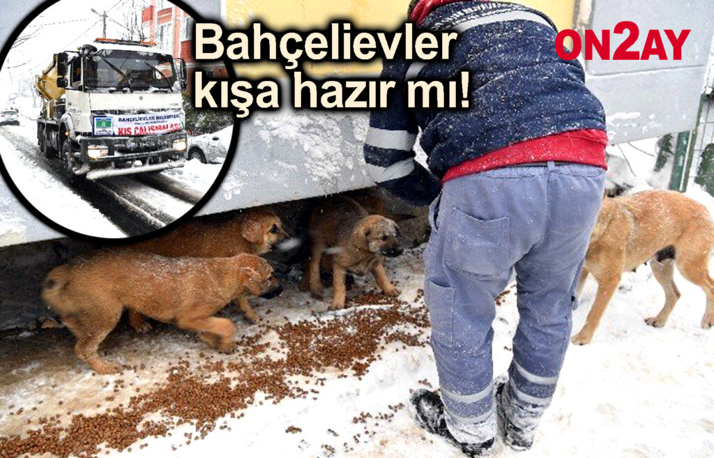 Bahçelievler kışa hazır mı!