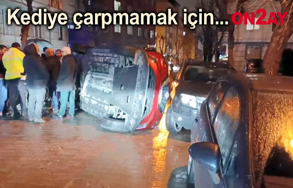 Kediye çarpmamak için..