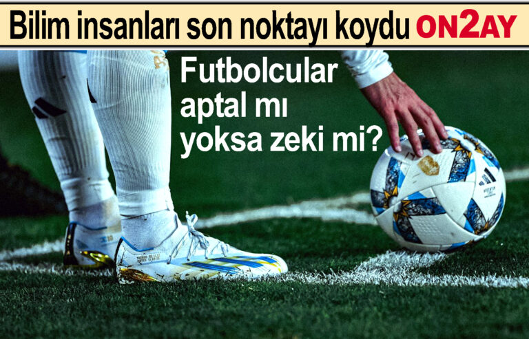 Bilim insanları son noktayı koydu