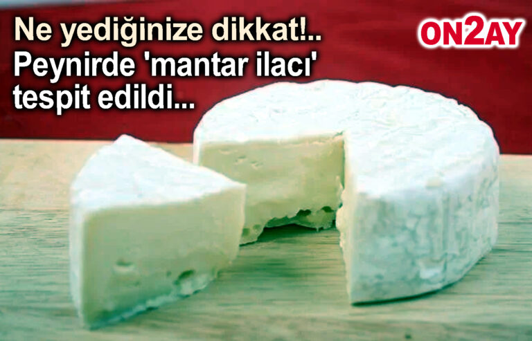 Peynirde 'mantar ilacı' tespit edildi