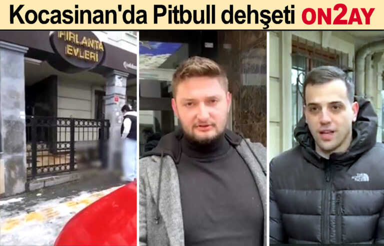Bahçelievler, Kocasinan'da Pitbull dehşeti