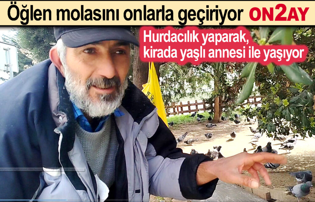 Hayvan sever, hurdacı, Bahçelievler, Güvercin
