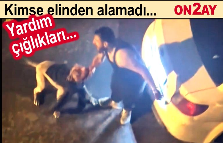 Bahçelievler'de korkunç Pitbull saldırısı!