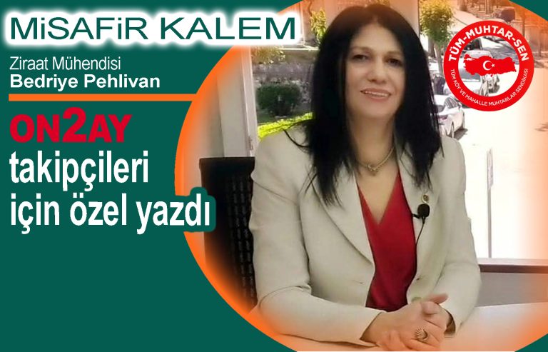 Ziraat Mühendisi Bedriye Pehlivan, kırsal kesim, muhtar