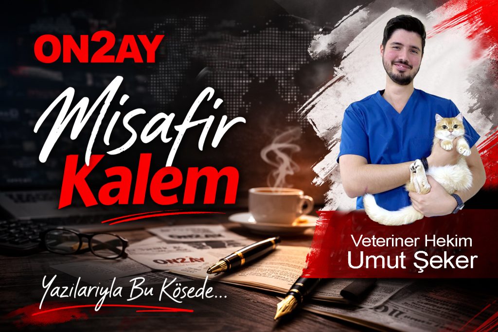 Veteriner Hekim Umut Şeker, yazıları