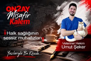 Veteriner Hekim Umut Şeker