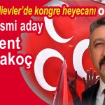 Milliyetçi Hareket Partisi Bahçelievler kongre, Bülent Karakoç, aday