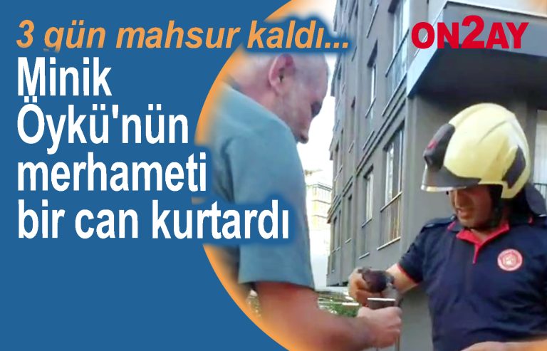 Minik Öykü'nün merhameti bir can kurtardı