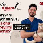 Hayvanları sevmenin bir de görünmeyen tarafı var