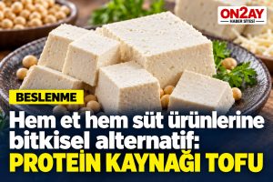 Bitkisel protein kaynağı tofu